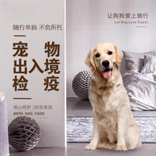青海省宠物托运到哥伦比亚猫狗宠物入境规定和